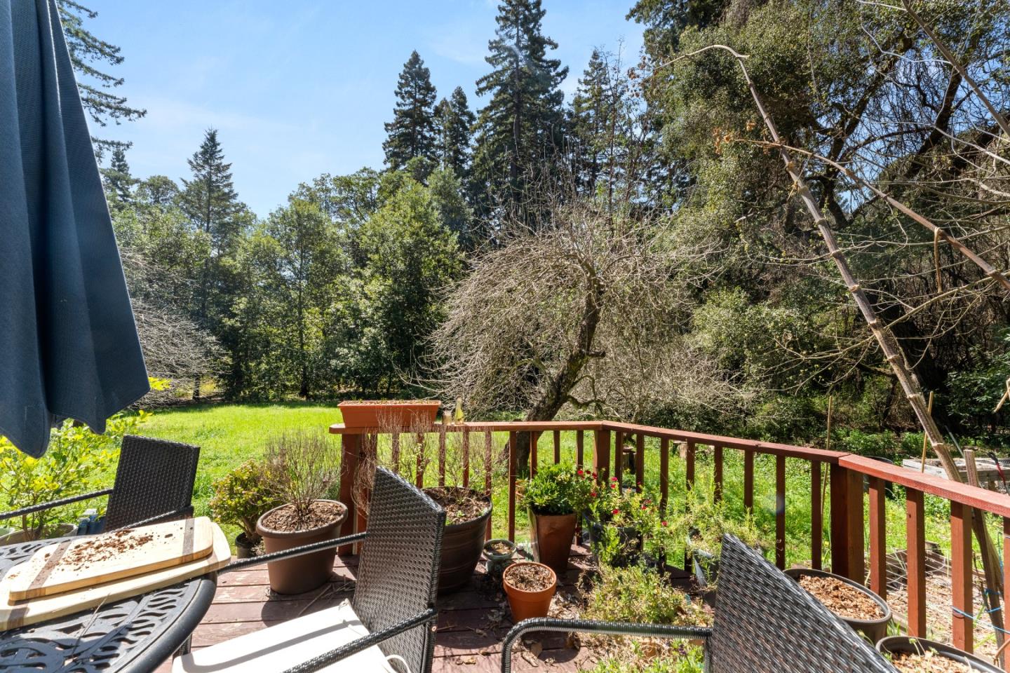 Detail Gallery Image 10 of 51 For 24 Grainger Ln, Santa Cruz,  CA 95060 - – Beds | – Baths