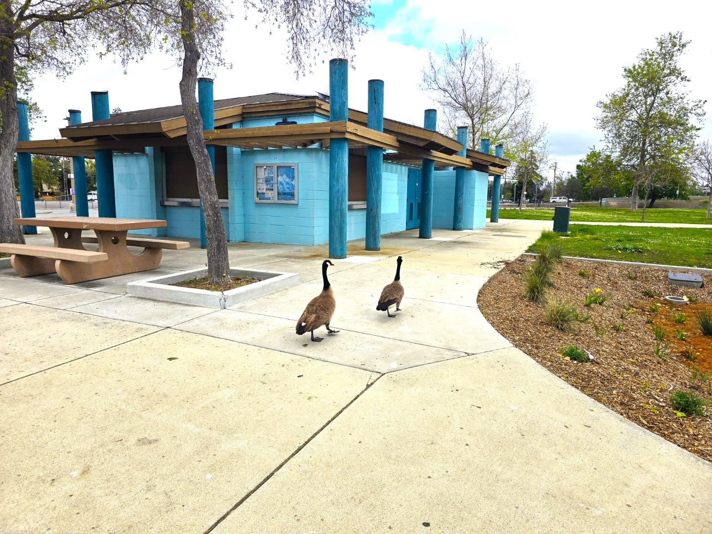 Detail Gallery Image 51 of 56 For 6014 Rocco Ct, San Jose,  CA 95120 - 4 Beds | 2/1 Baths