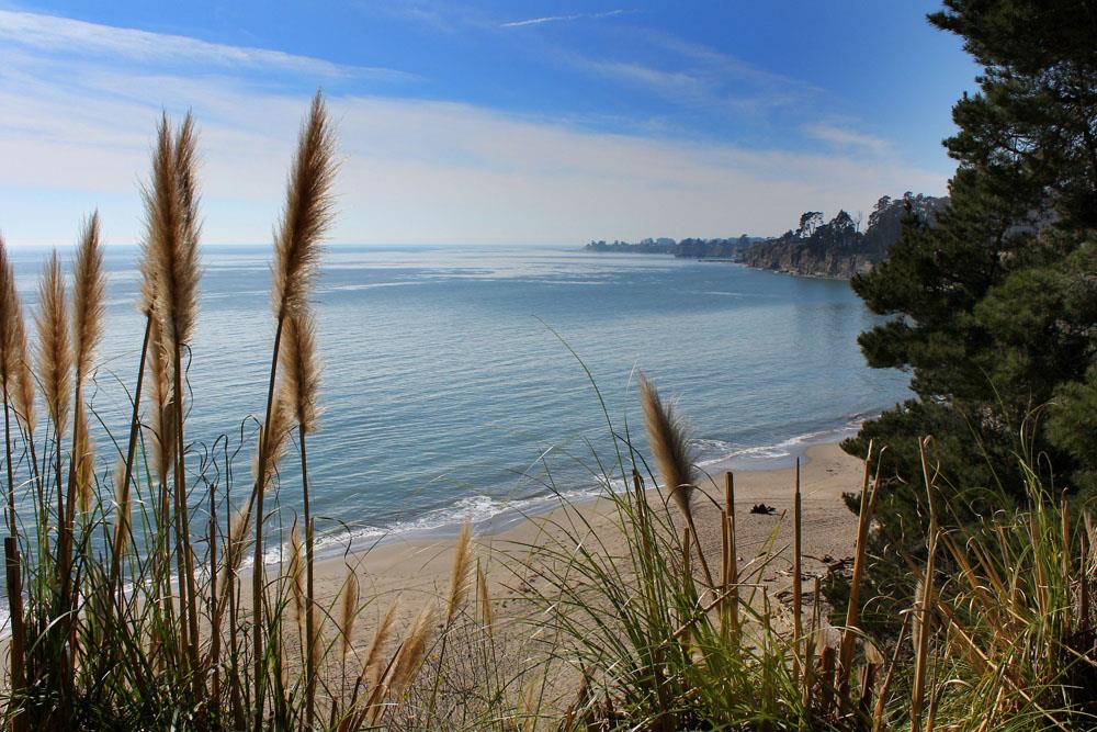 Detail Gallery Image 25 of 28 For 825 Balboa Ave #104,  Capitola,  CA 95010 - 2 Beds | 1/1 Baths