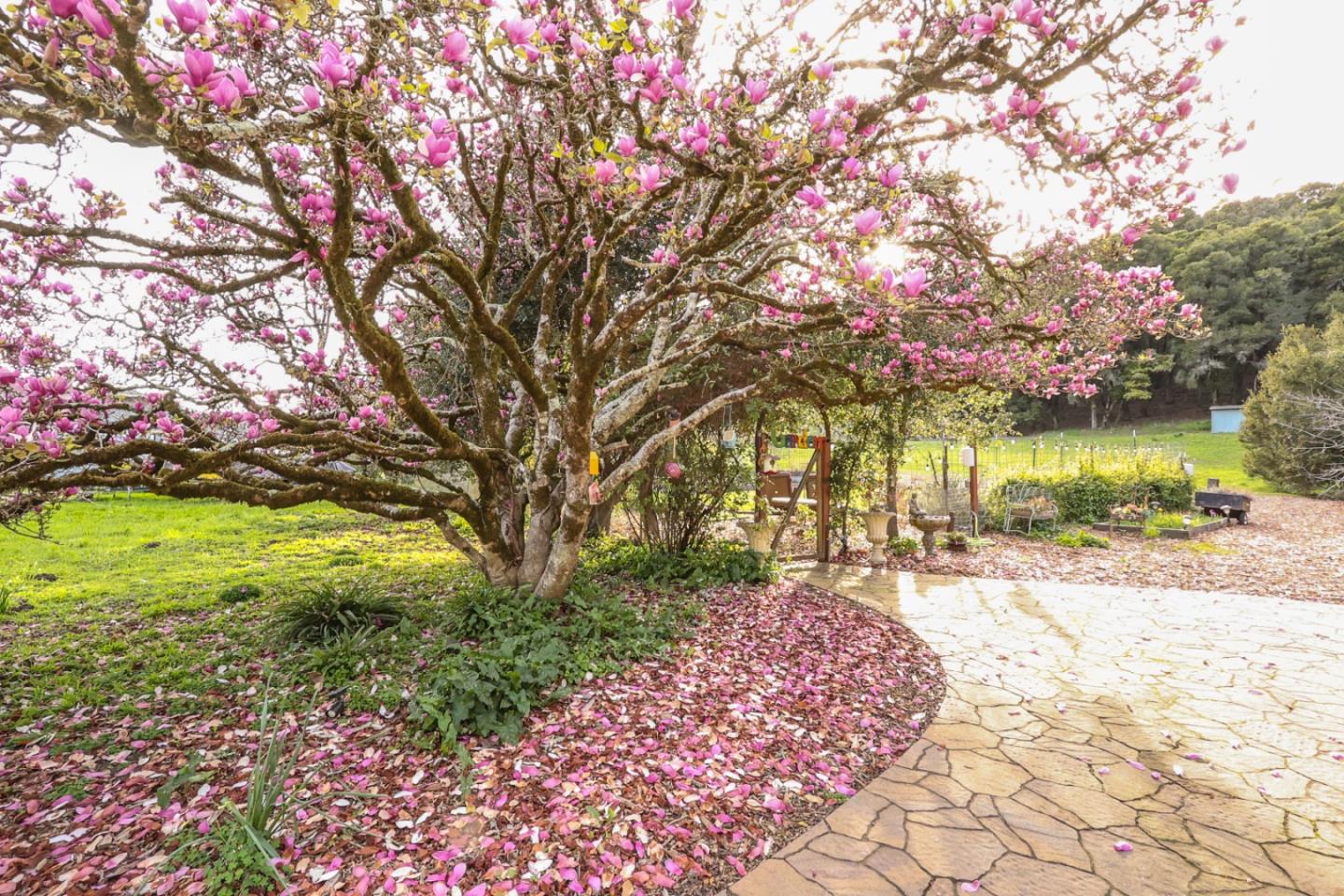 Detail Gallery Image 25 of 34 For 3247 Old San Jose Rd, Soquel,  CA 95073 - 2 Beds | 2 Baths