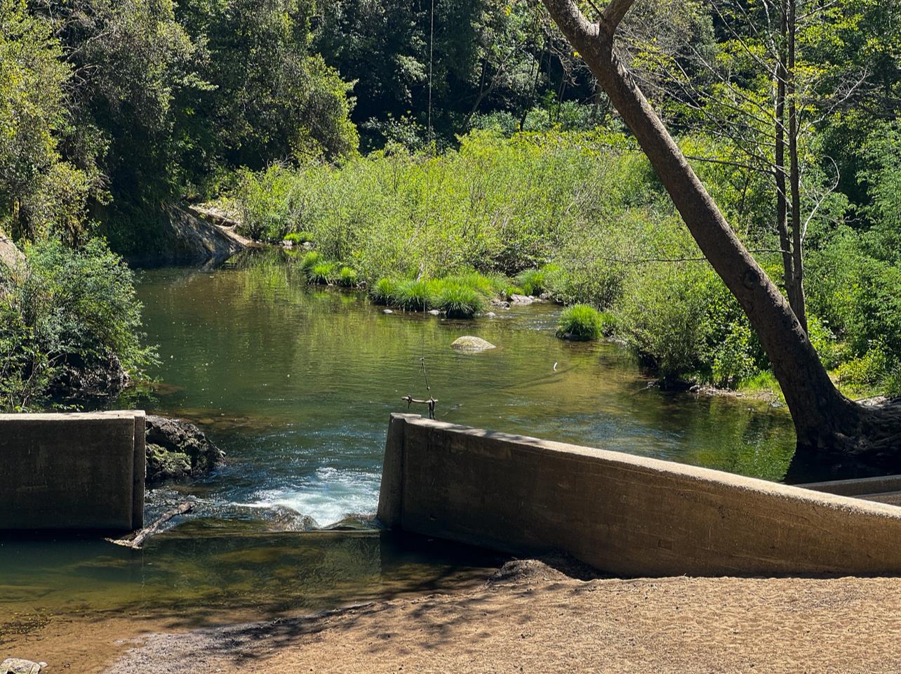 Detail Gallery Image 56 of 57 For 241 Redwood Way, Boulder Creek,  CA 95006 - 4 Beds | 2 Baths