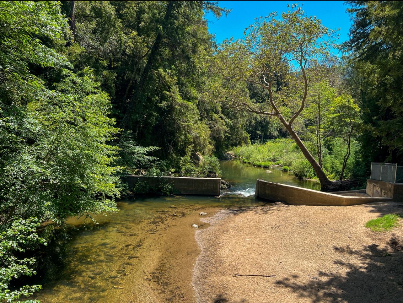 Detail Gallery Image 57 of 57 For 241 Redwood Way, Boulder Creek,  CA 95006 - 4 Beds | 2 Baths