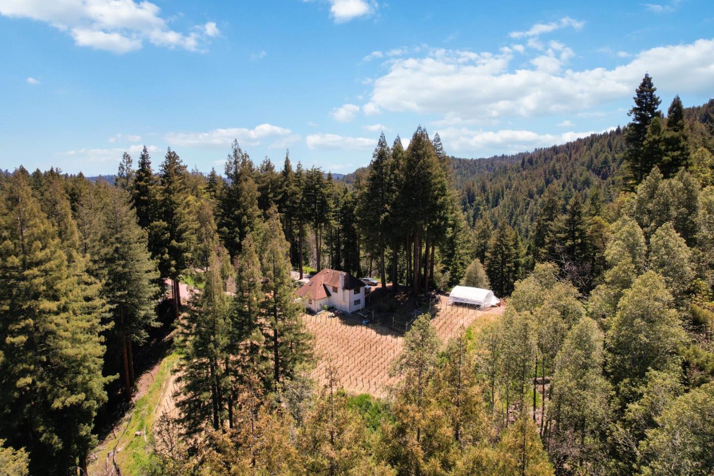 Detail Gallery Image 80 of 95 For 11025 Alba Rd, Ben Lomond,  CA 95005 - 5 Beds | 4 Baths