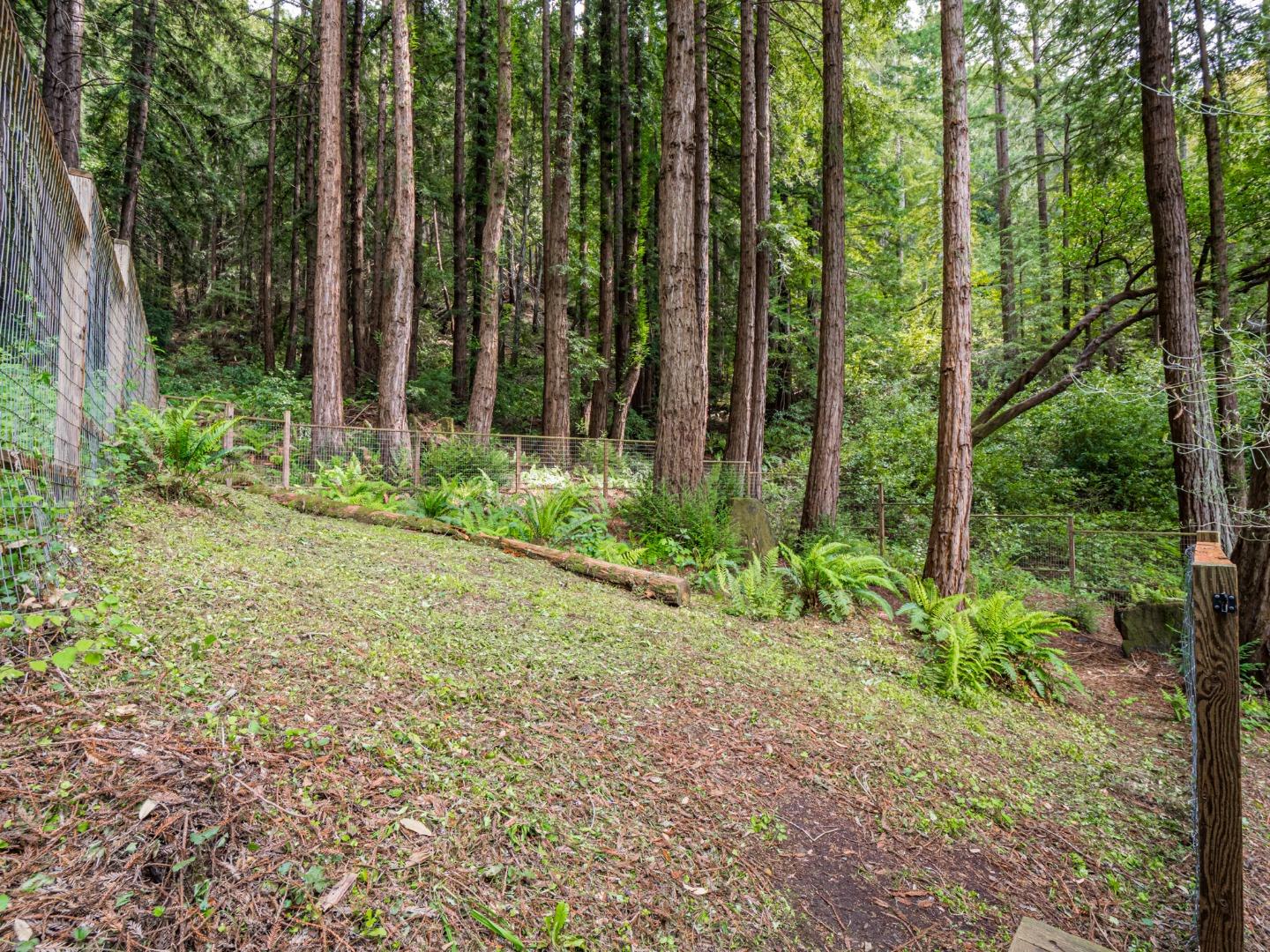 Detail Gallery Image 45 of 66 For 280 Zayante School Rd, Felton,  CA 95018 - 3 Beds | 2 Baths