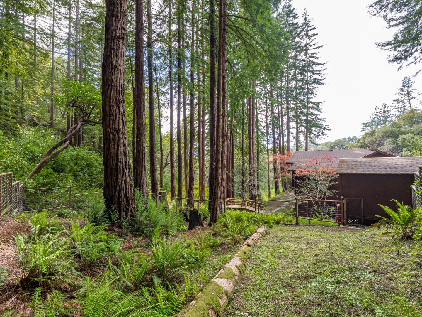 Detail Gallery Image 47 of 66 For 280 Zayante School Rd, Felton,  CA 95018 - 3 Beds | 2 Baths