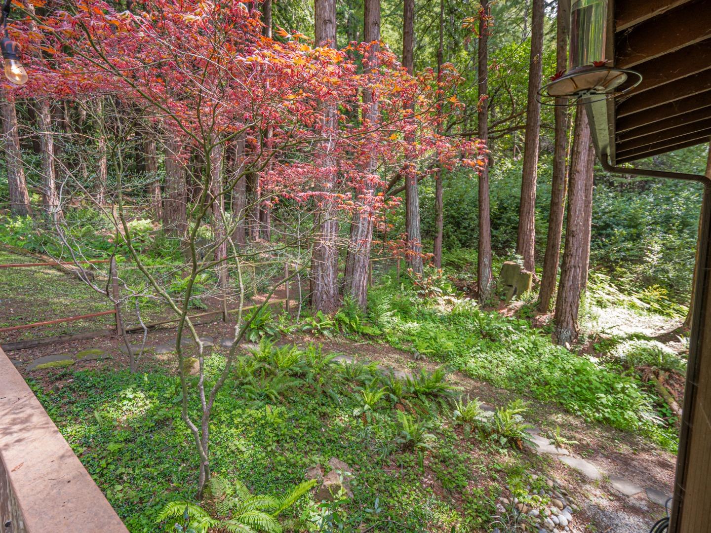 Detail Gallery Image 48 of 66 For 280 Zayante School Rd, Felton,  CA 95018 - 3 Beds | 2 Baths