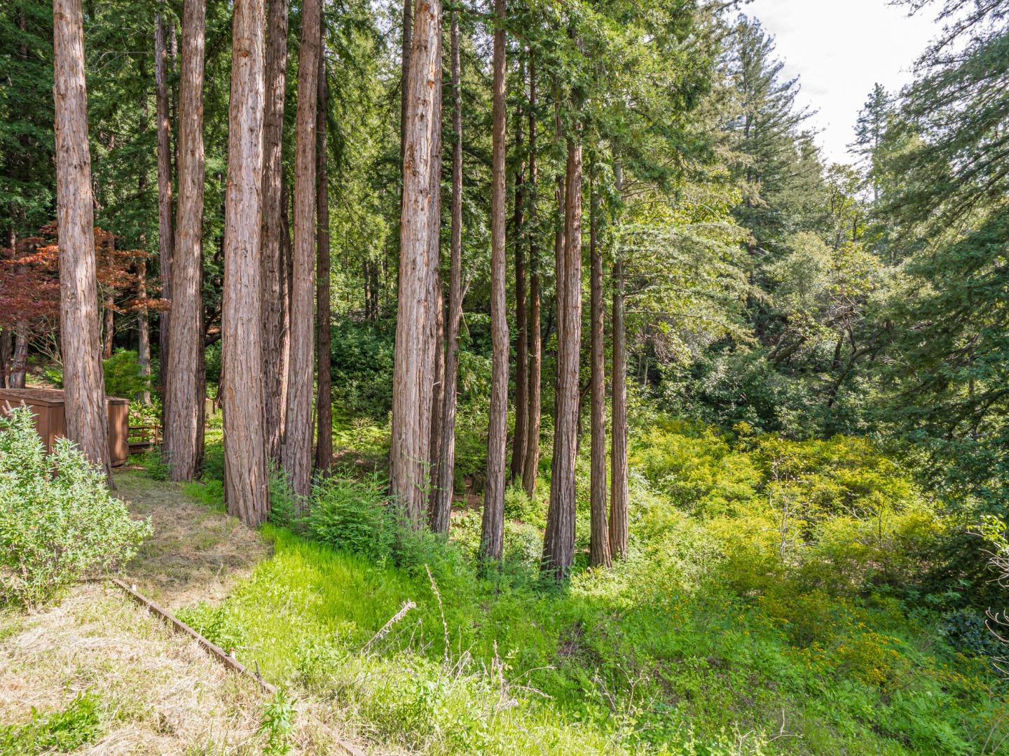 Detail Gallery Image 52 of 66 For 280 Zayante School Rd, Felton,  CA 95018 - 3 Beds | 2 Baths