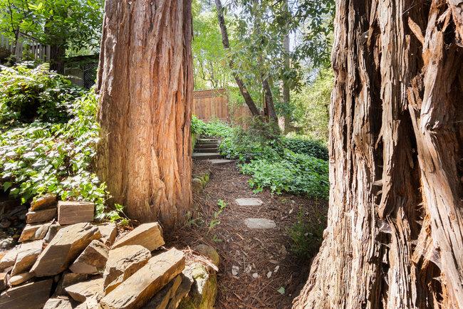 Detail Gallery Image 58 of 58 For 345 Saint Francis Dr, Boulder Creek,  CA 95006 - 3 Beds | 2 Baths