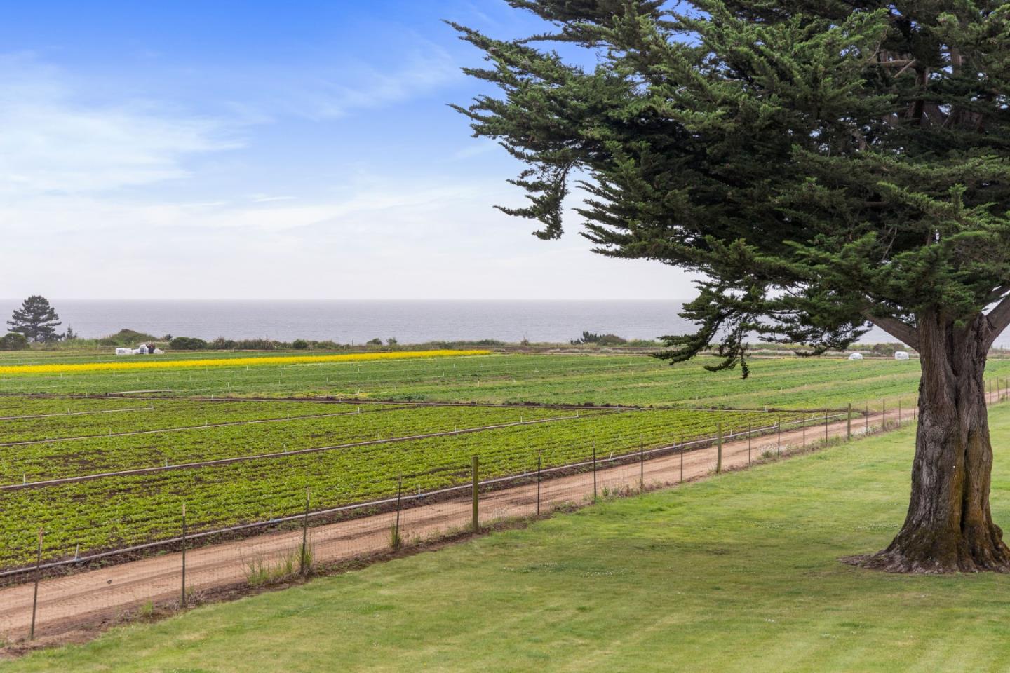 Detail Gallery Image 2 of 68 For 230 via Novella, Aptos,  CA 95003 - 5 Beds | 4 Baths