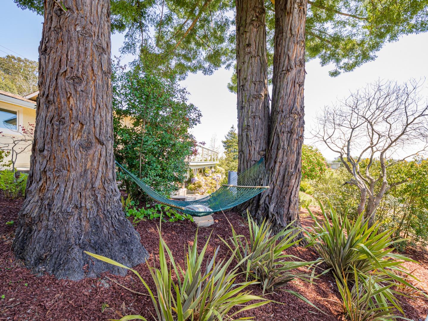 Detail Gallery Image 44 of 72 For 145 Old Adobe Rd, Watsonville,  CA 95076 - 4 Beds | 3 Baths