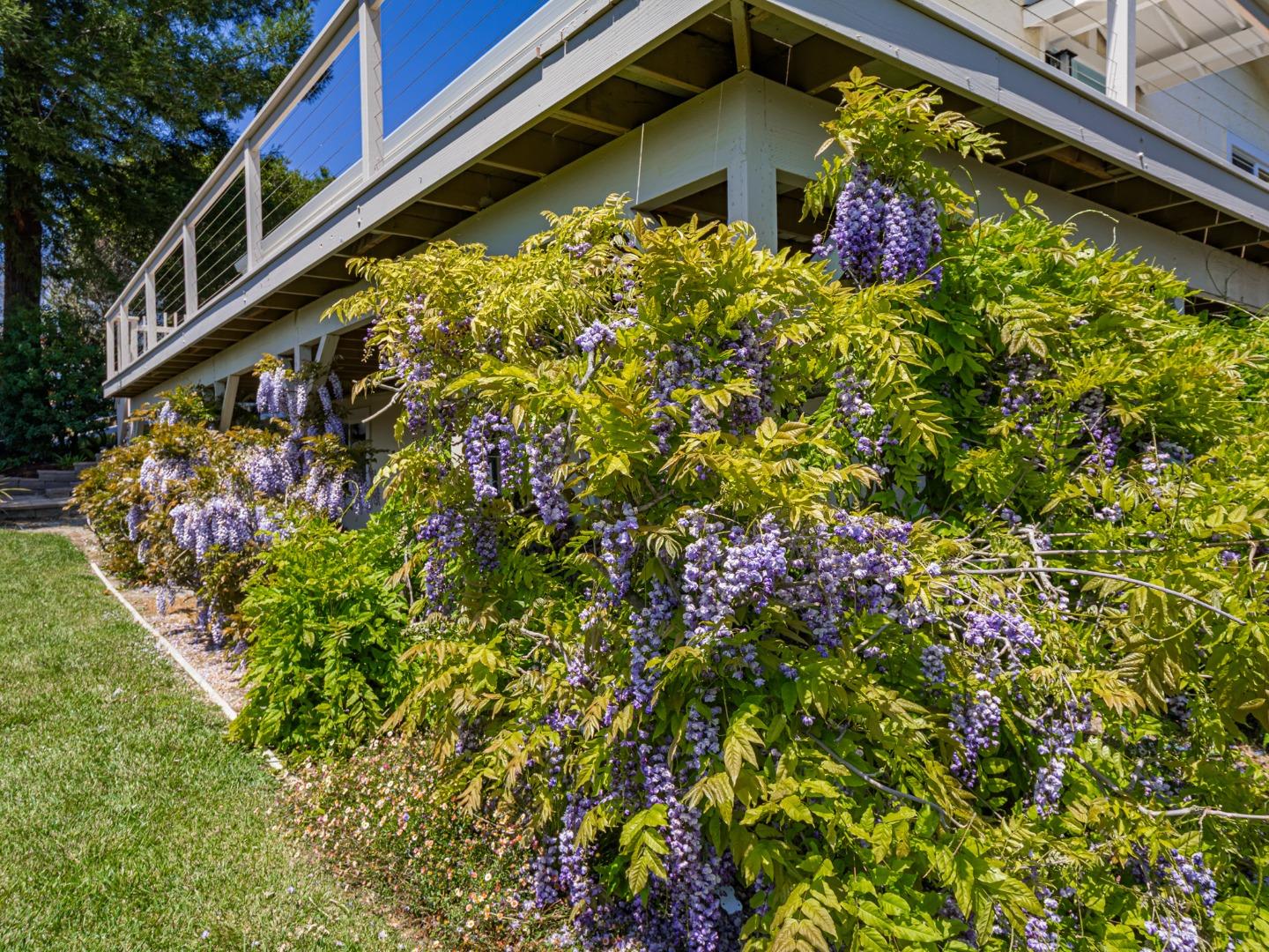 Detail Gallery Image 51 of 72 For 145 Old Adobe Rd, Watsonville,  CA 95076 - 4 Beds | 3 Baths
