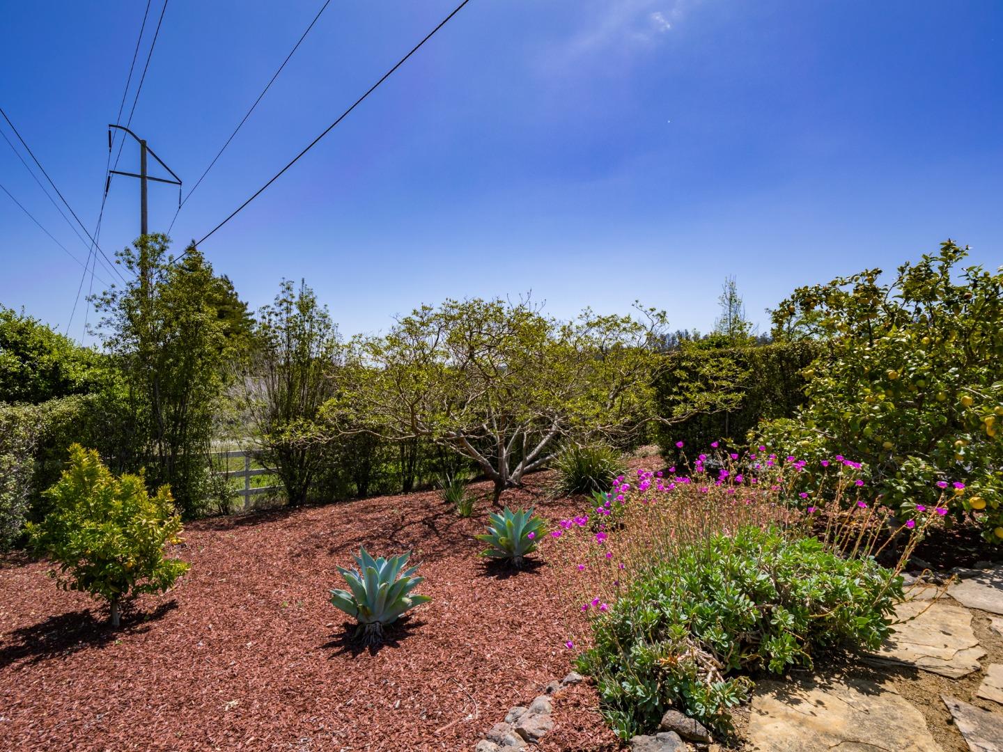 Detail Gallery Image 57 of 72 For 145 Old Adobe Rd, Watsonville,  CA 95076 - 4 Beds | 3 Baths