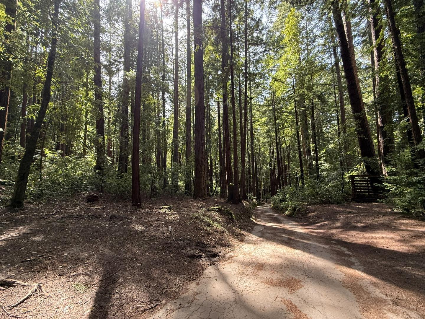 Detail Gallery Image 1 of 32 For 00 Slate Creek Rd, La Honda,  CA 94020 - – Beds | – Baths