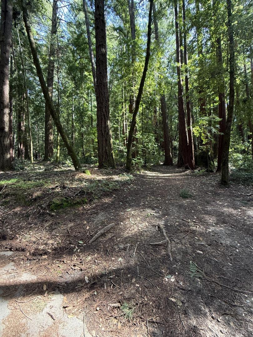 Detail Gallery Image 22 of 32 For 00 Slate Creek Rd, La Honda,  CA 94020 - – Beds | – Baths