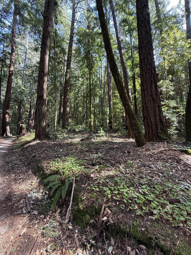 Detail Gallery Image 23 of 32 For 00 Slate Creek Rd, La Honda,  CA 94020 - – Beds | – Baths