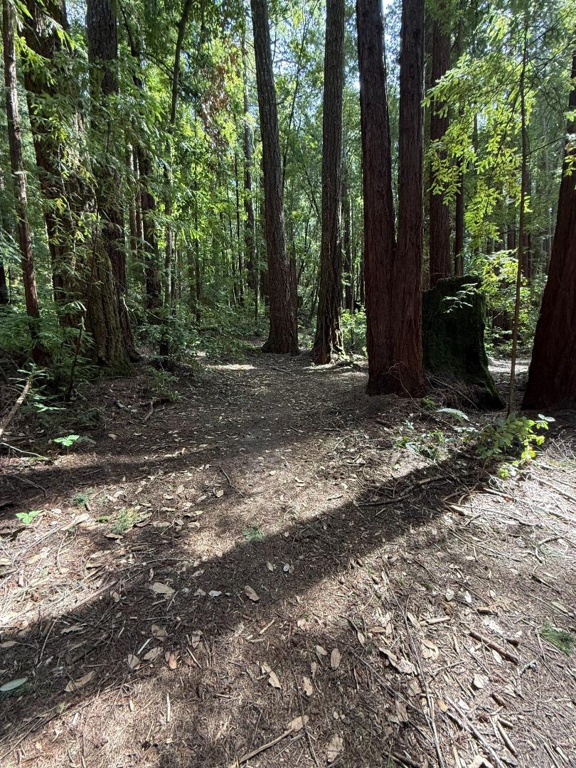 Detail Gallery Image 7 of 32 For 00 Slate Creek Rd, La Honda,  CA 94020 - – Beds | – Baths