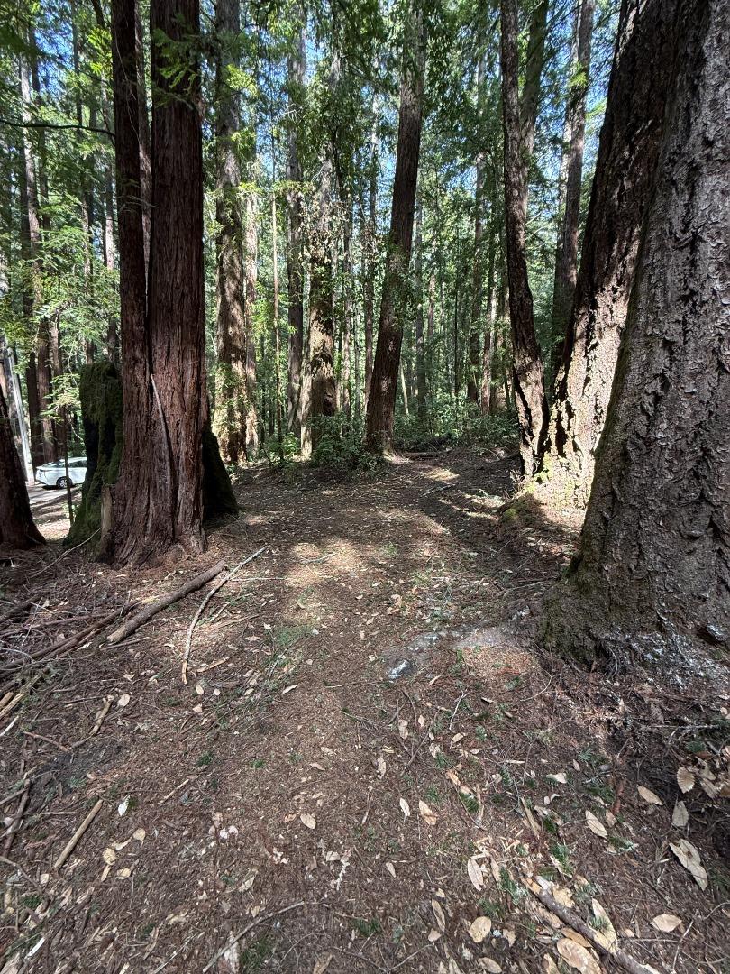 Detail Gallery Image 9 of 32 For 00 Slate Creek Rd, La Honda,  CA 94020 - – Beds | – Baths