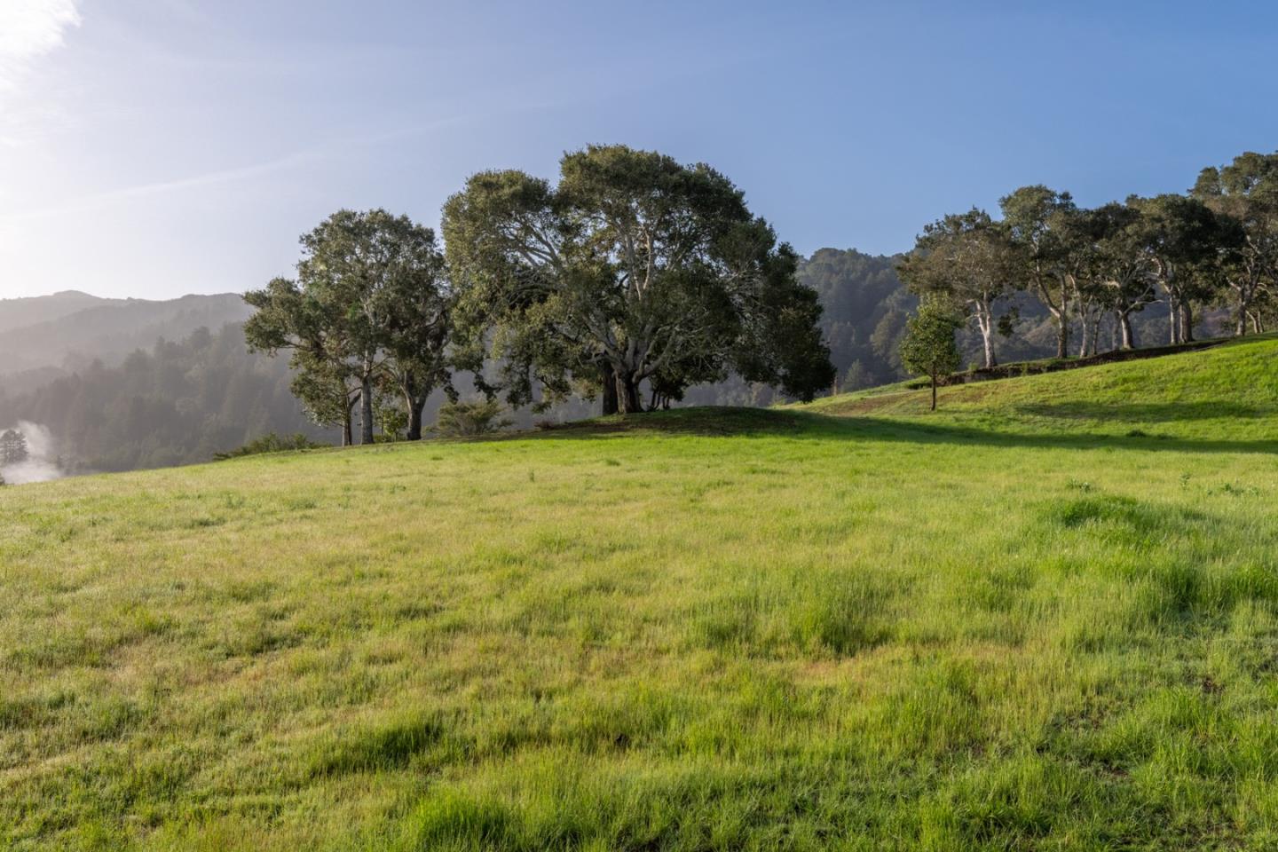Detail Gallery Image 5 of 25 For 17 Rancho San Carlos Road (Lot 4), Carmel,  CA 93923 - – Beds | – Baths