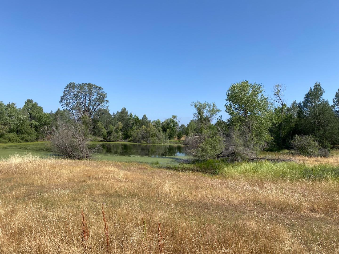Detail Gallery Image 12 of 34 For 5185 Oak Hollow Rd, Valley Springs,  CA 95252 - – Beds | – Baths