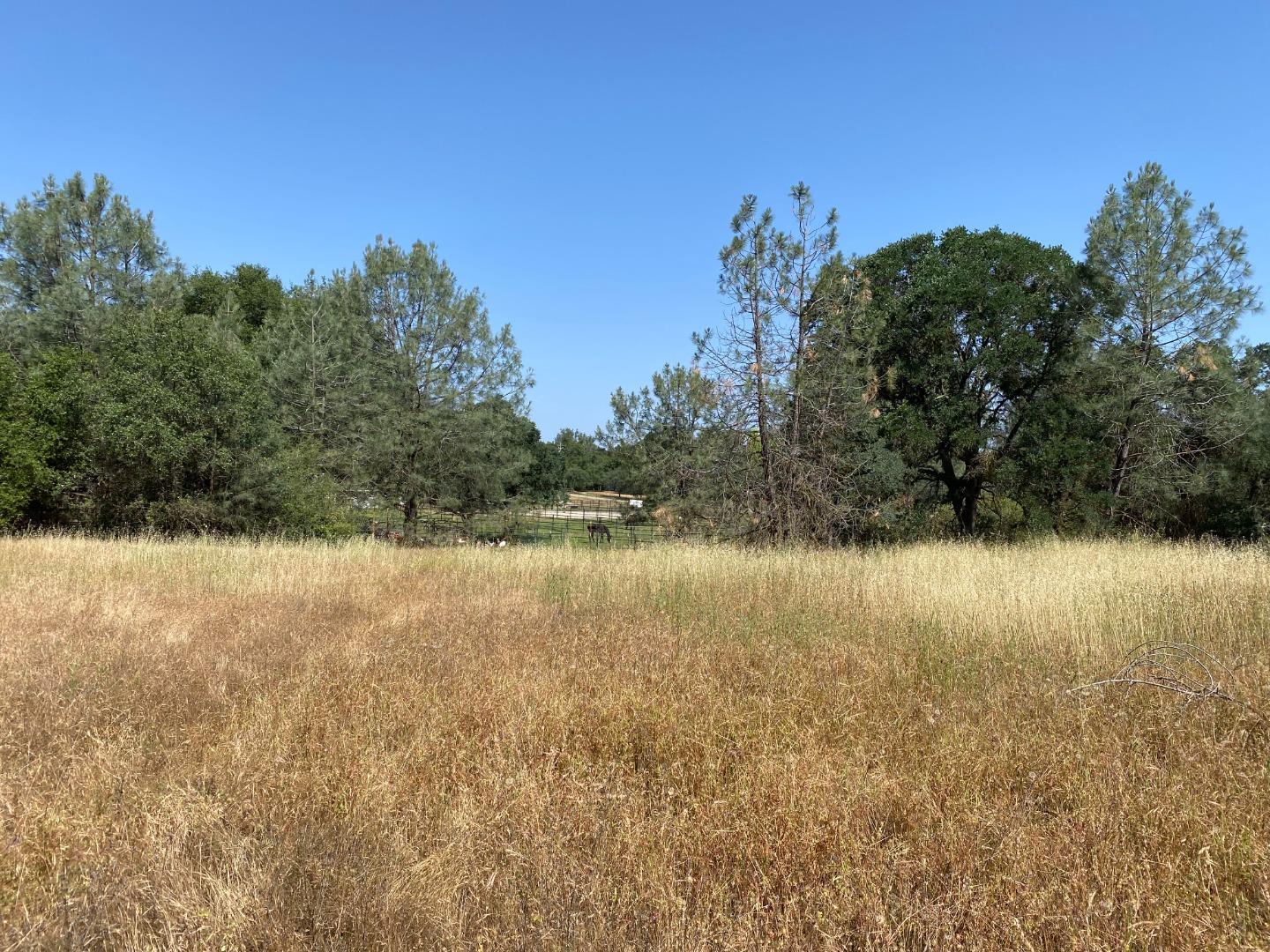 Detail Gallery Image 19 of 34 For 5185 Oak Hollow Rd, Valley Springs,  CA 95252 - – Beds | – Baths