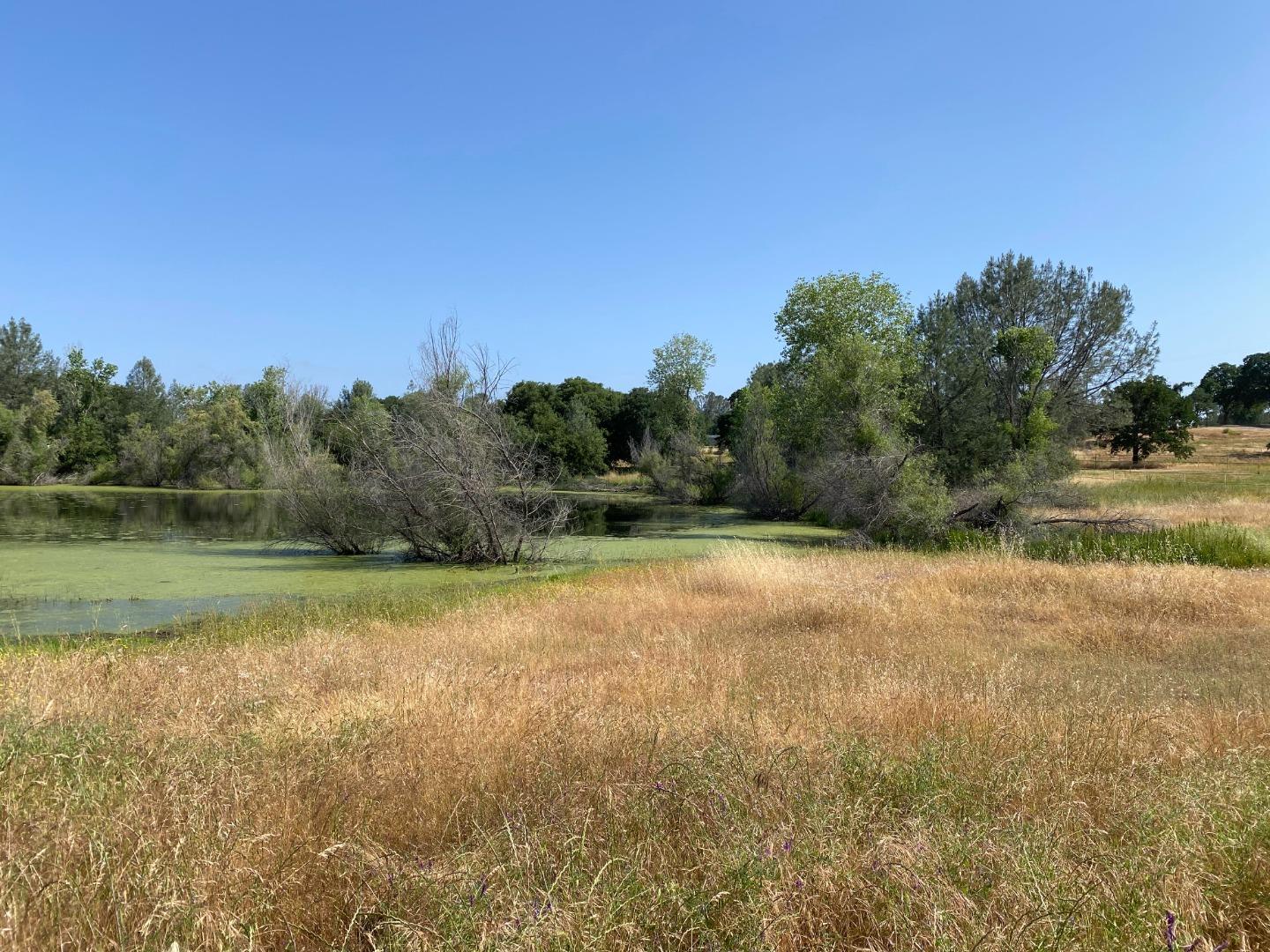 Detail Gallery Image 8 of 34 For 5185 Oak Hollow Rd, Valley Springs,  CA 95252 - – Beds | – Baths