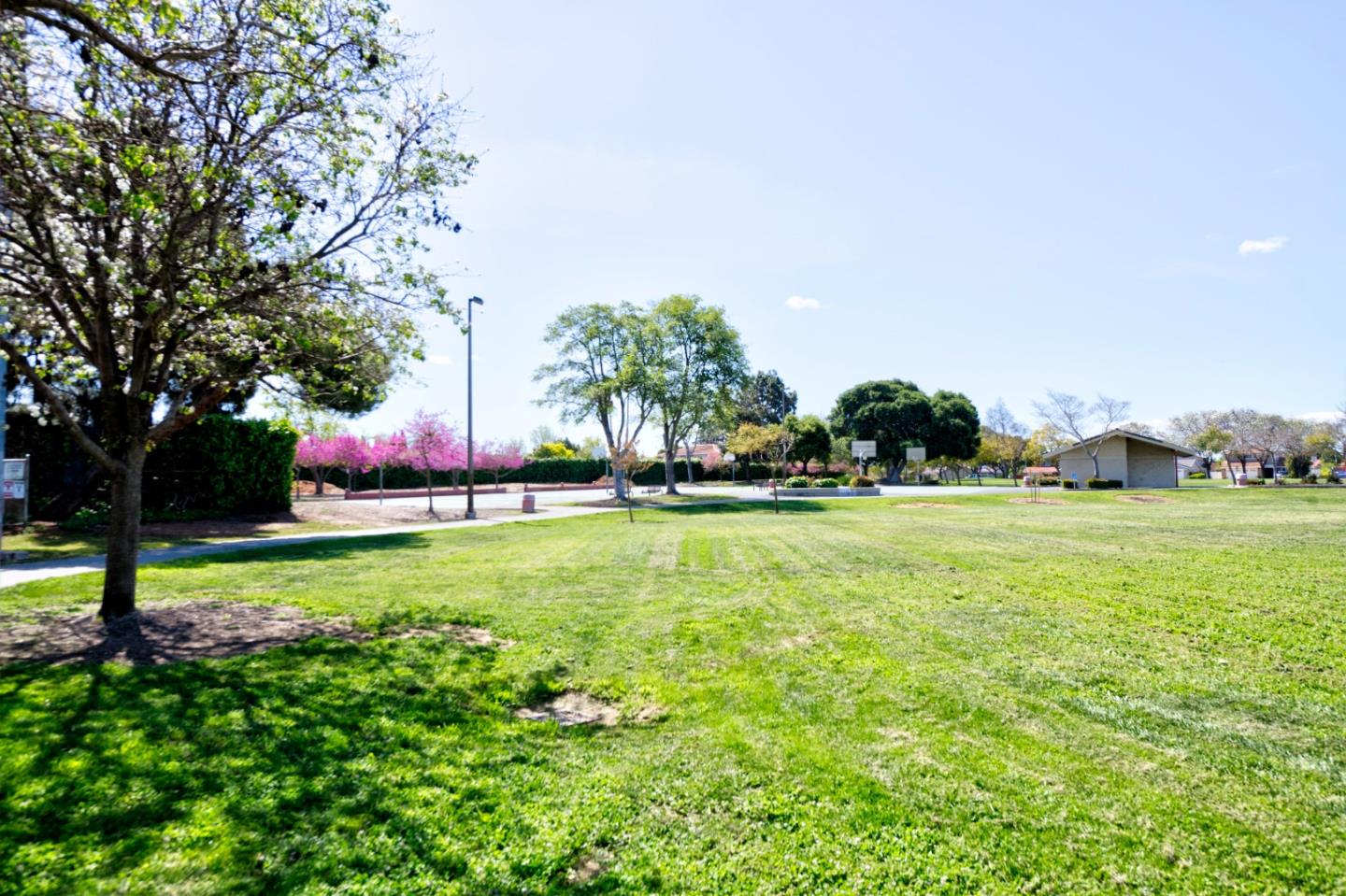 Detail Gallery Image 25 of 27 For 4210 Comet Cir, Union City,  CA 94587 - 4 Beds | 1/1 Baths