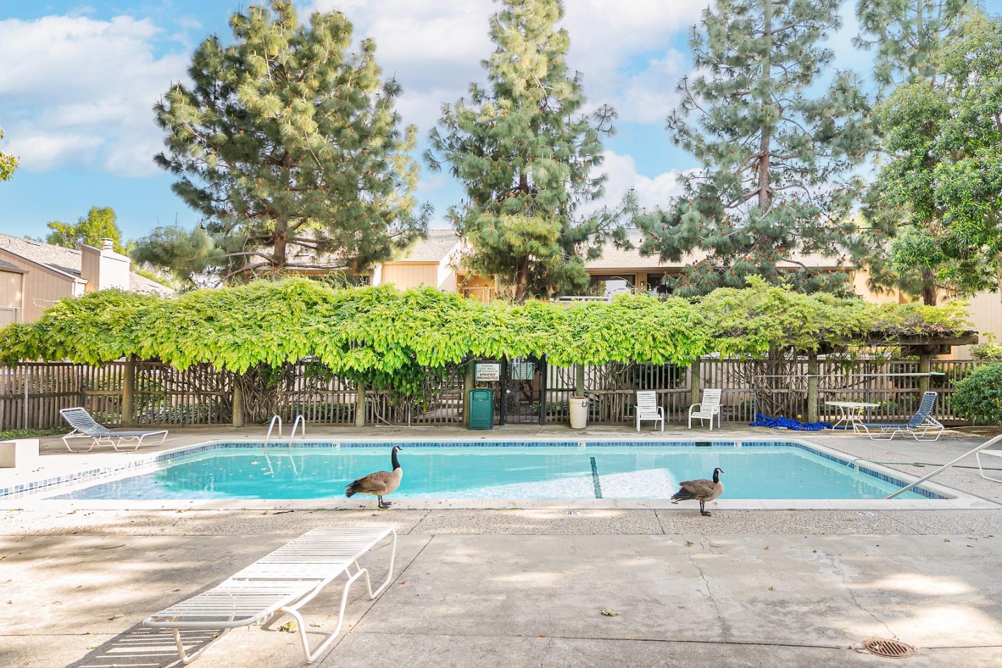 Detail Gallery Image 29 of 38 For 952 Kiely Blvd #F,  Santa Clara,  CA 95051 - 2 Beds | 2 Baths