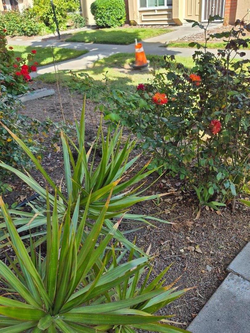 Detail Gallery Image 4 of 49 For 4158 Asimuth Cir, Union City,  CA 94587 - 3 Beds | 1/1 Baths