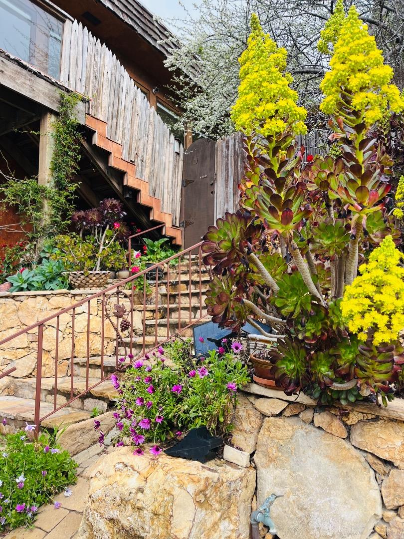 Detail Gallery Image 1 of 58 For 11565 Rancho Fiesta Rd, Carmel Valley,  CA 93924 - 2 Beds | 1 Baths