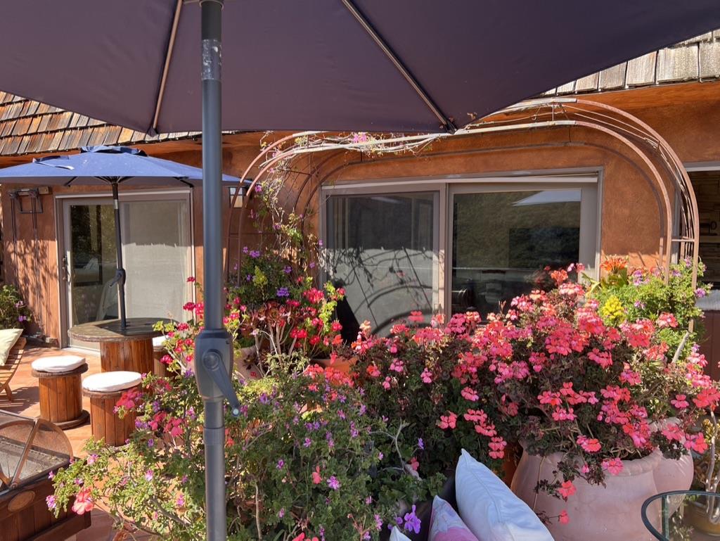 Detail Gallery Image 21 of 58 For 11565 Rancho Fiesta Rd, Carmel Valley,  CA 93924 - 2 Beds | 1 Baths