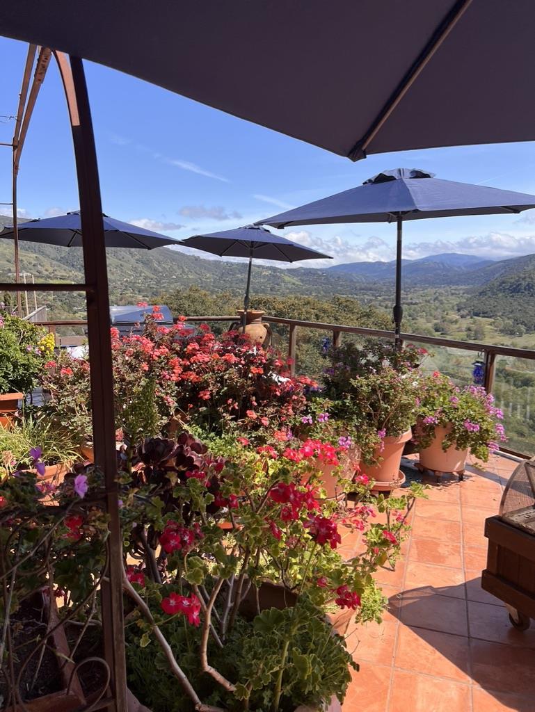 Detail Gallery Image 33 of 58 For 11565 Rancho Fiesta Rd, Carmel Valley,  CA 93924 - 2 Beds | 1 Baths