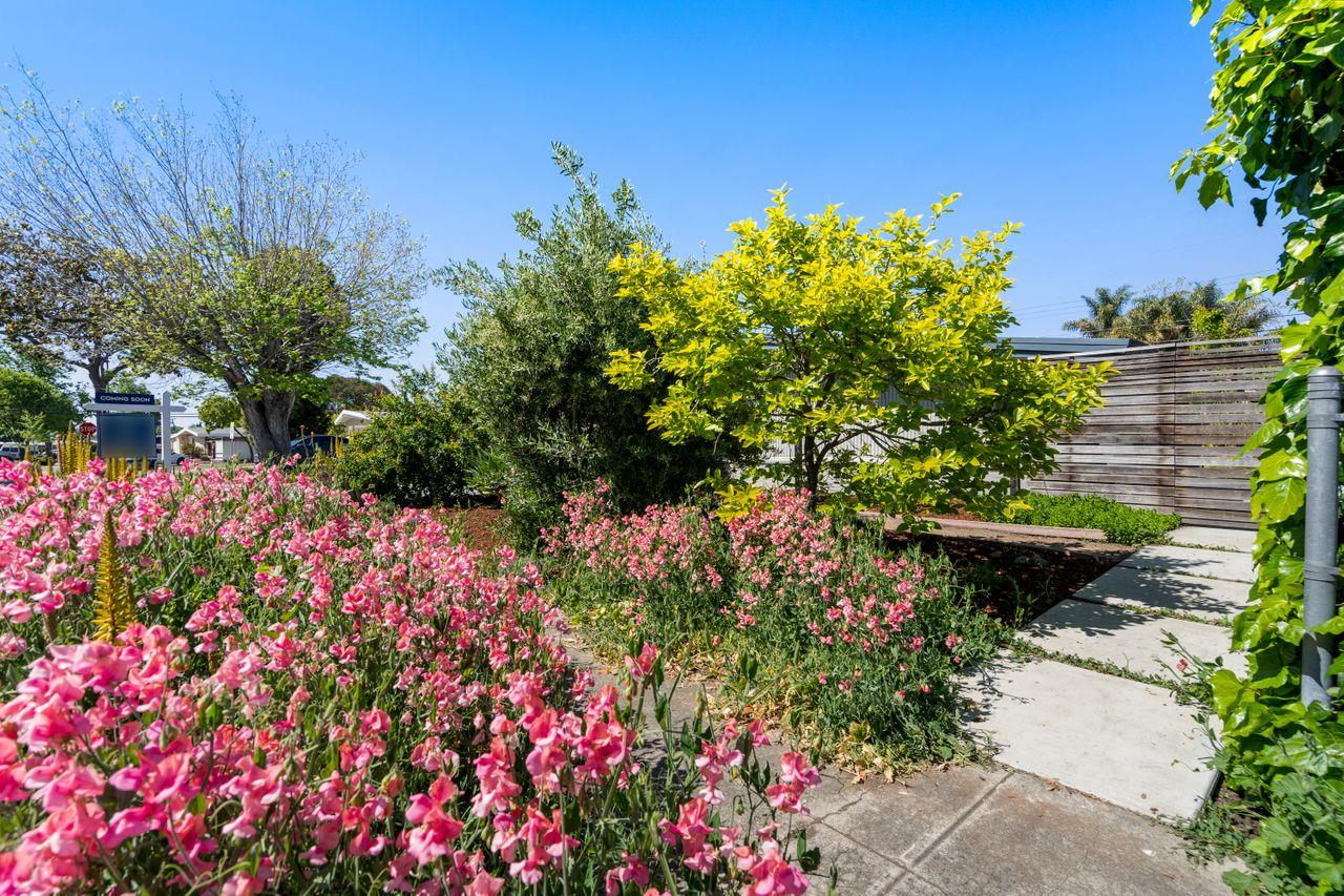 Detail Gallery Image 2 of 20 For 1213 Torrance Ave, Sunnyvale,  CA 94089 - 3 Beds | 2 Baths