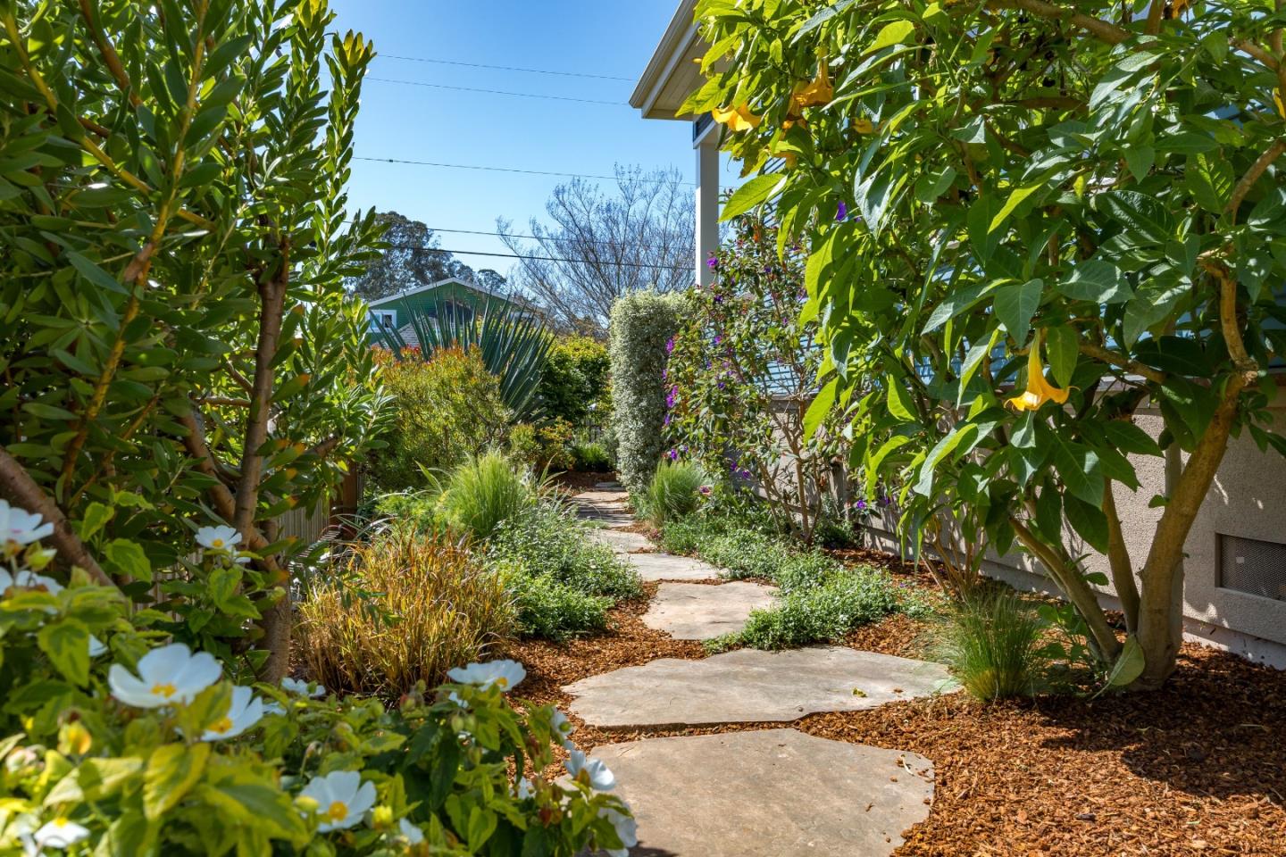 Detail Gallery Image 7 of 48 For 409 Windham St, Santa Cruz,  CA 95062 - 5 Beds | 5 Baths