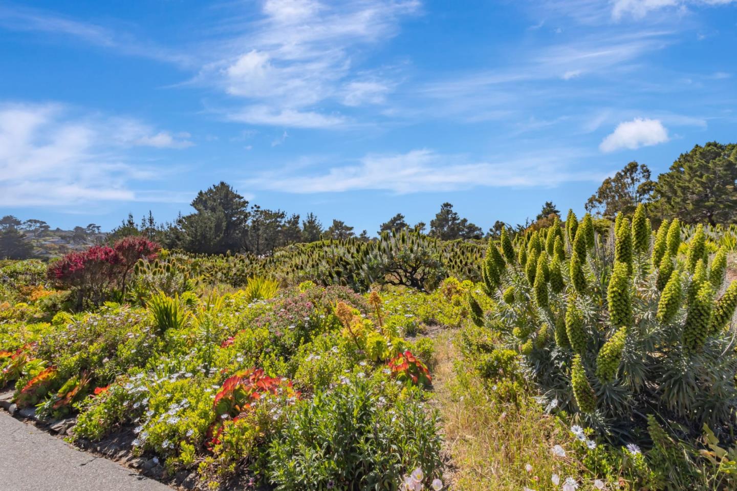 Detail Gallery Image 51 of 74 For 1025 Tamarind St, Montara,  CA 94037 - 3 Beds | 2 Baths