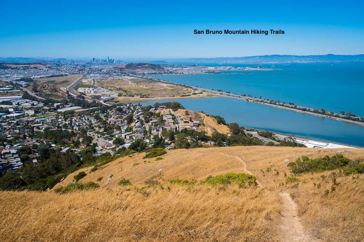 Detail Gallery Image 27 of 31 For 250 Willow Ave #423,  South San Francisco,  CA 94080 - 1 Beds | 1 Baths