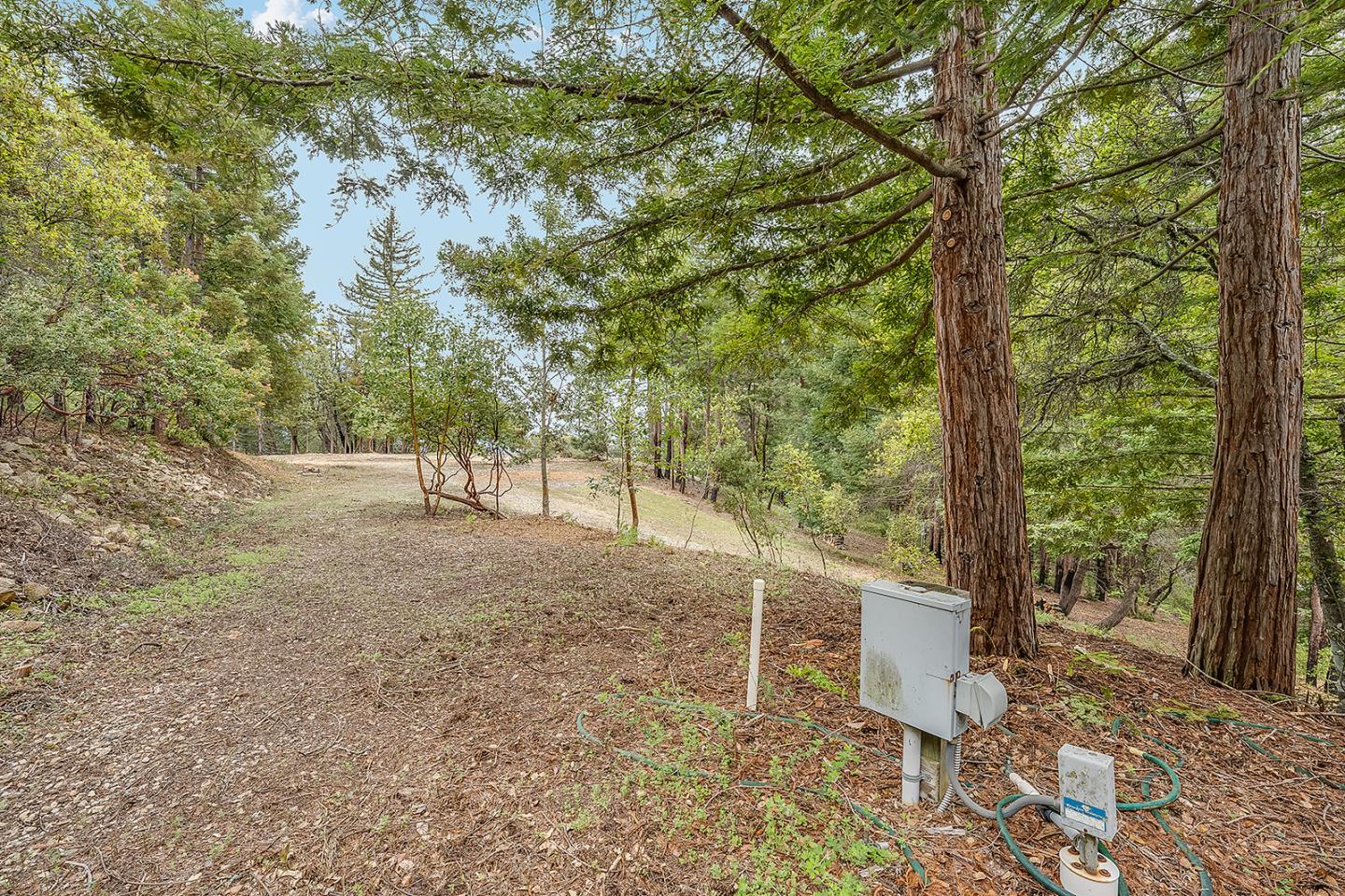 Detail Gallery Image 15 of 37 For 235 Feather Ln, Santa Cruz,  CA 95060 - – Beds | – Baths