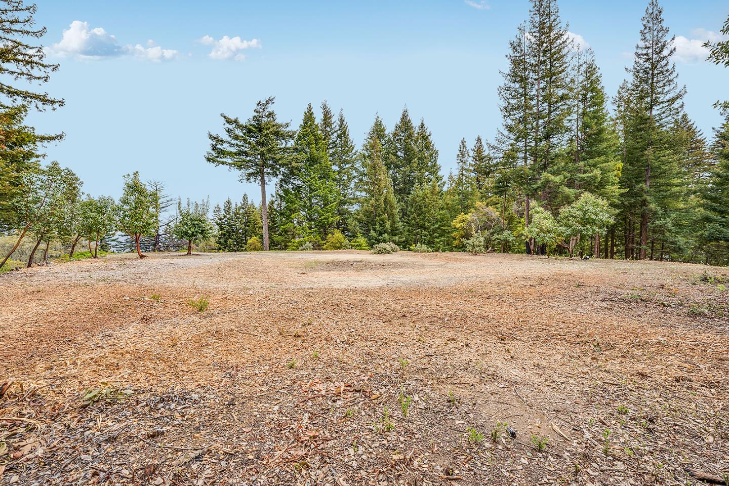 Detail Gallery Image 9 of 37 For 235 Feather Ln, Santa Cruz,  CA 95060 - – Beds | – Baths