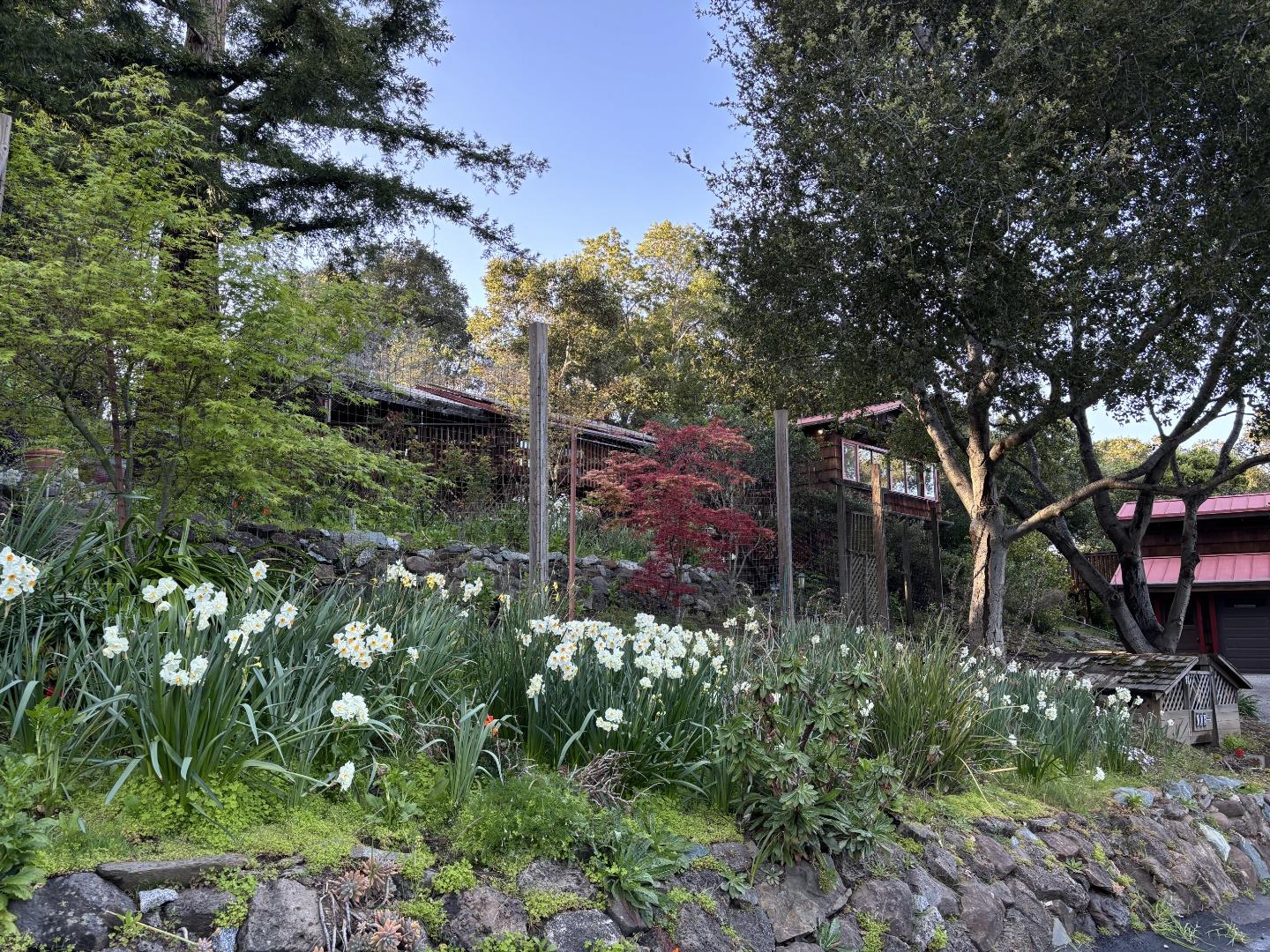 Detail Gallery Image 17 of 29 For 108 Santa Maria Ave, Portola Valley,  CA 94028 - 3 Beds | 2 Baths