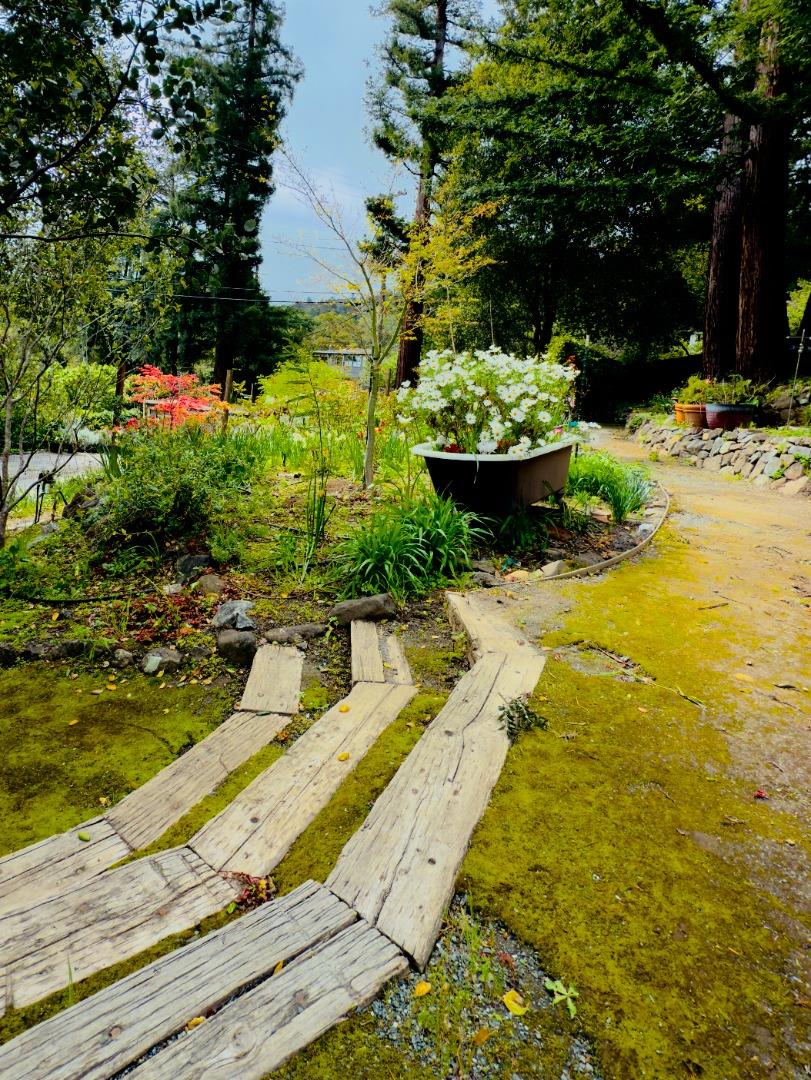 Detail Gallery Image 24 of 29 For 108 Santa Maria Ave, Portola Valley,  CA 94028 - 3 Beds | 2 Baths