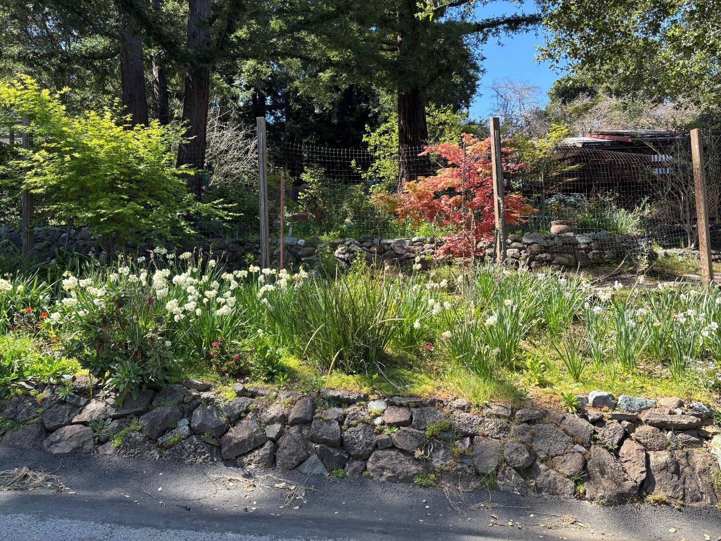 Detail Gallery Image 26 of 29 For 108 Santa Maria Ave, Portola Valley,  CA 94028 - 3 Beds | 2 Baths