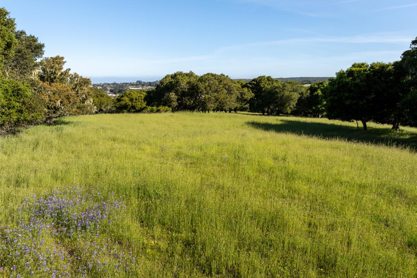 Detail Gallery Image 8 of 22 For 8170 Manjares (Lot 135), Monterey,  CA 93940 - – Beds | – Baths