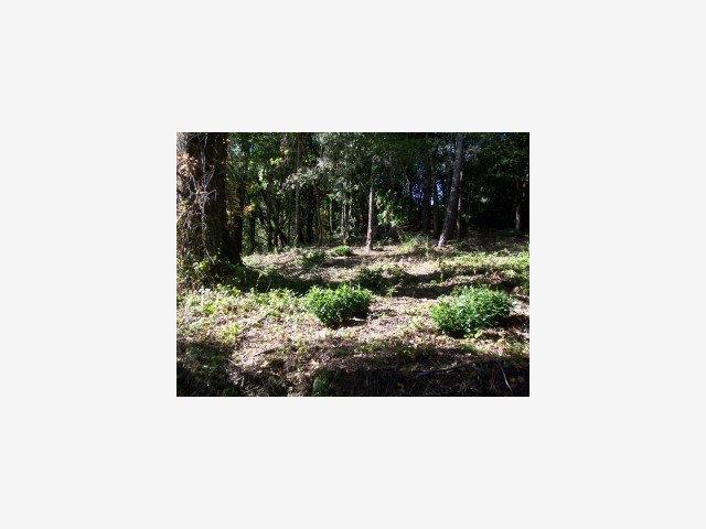 Detail Gallery Image 2 of 2 For 0 Gist Rd, Los Gatos,  CA 95033 - – Beds | – Baths