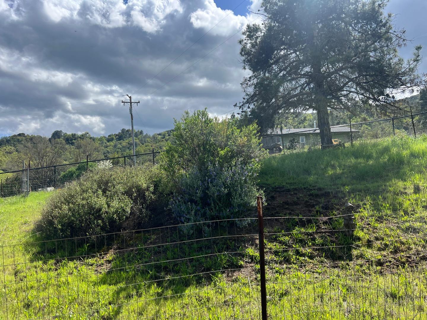 Detail Gallery Image 11 of 62 For 5390 Little Uvas Rd, Morgan Hill,  CA 95037 - 3 Beds | 2/2 Baths