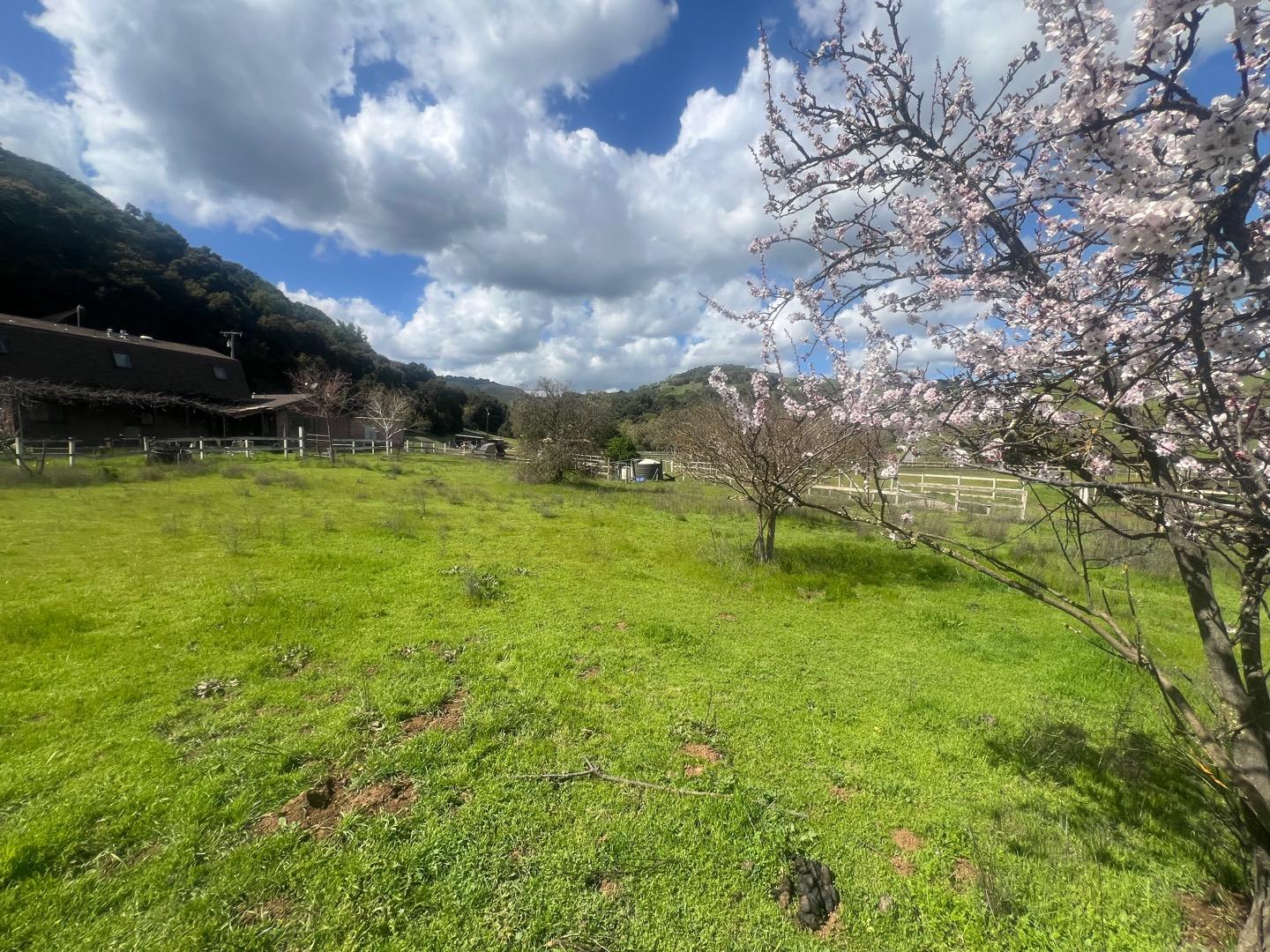Detail Gallery Image 24 of 62 For 5390 Little Uvas Rd, Morgan Hill,  CA 95037 - 3 Beds | 2/2 Baths