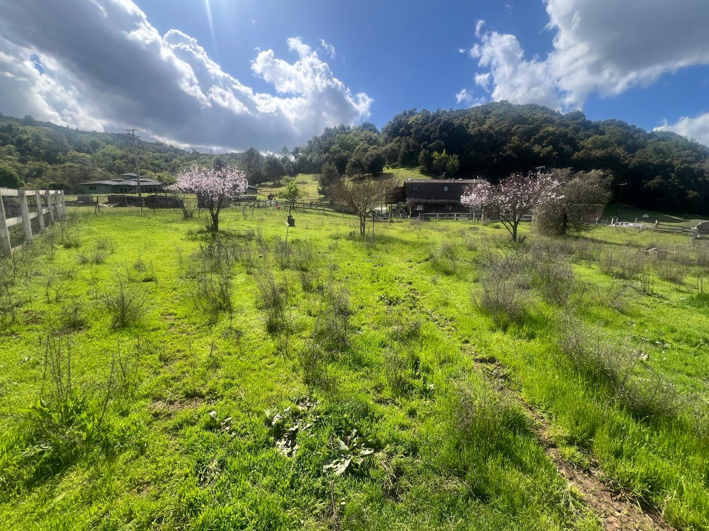 Detail Gallery Image 26 of 62 For 5390 Little Uvas Rd, Morgan Hill,  CA 95037 - 3 Beds | 2/2 Baths