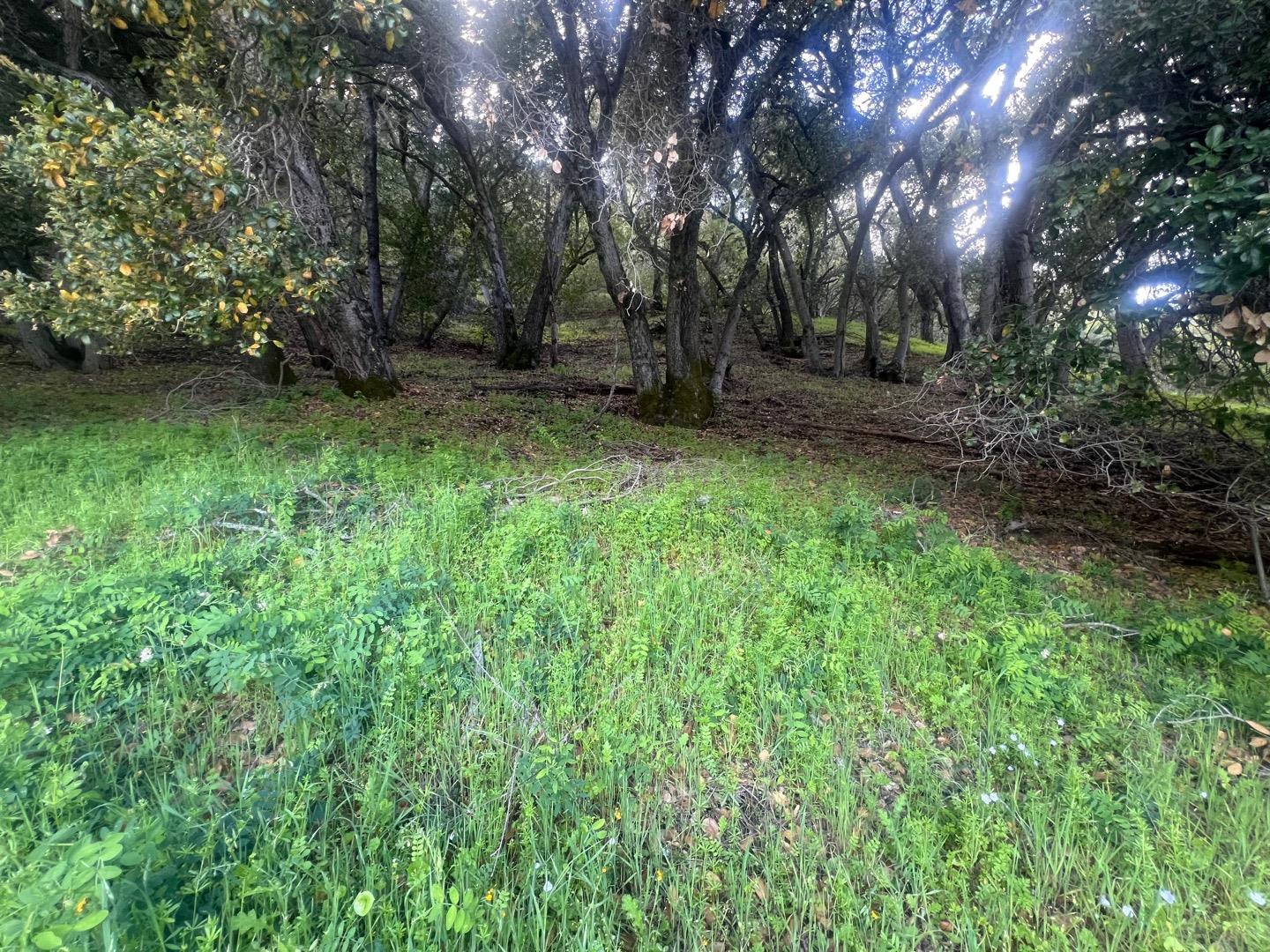 Detail Gallery Image 53 of 62 For 5390 Little Uvas Rd, Morgan Hill,  CA 95037 - 3 Beds | 2/2 Baths