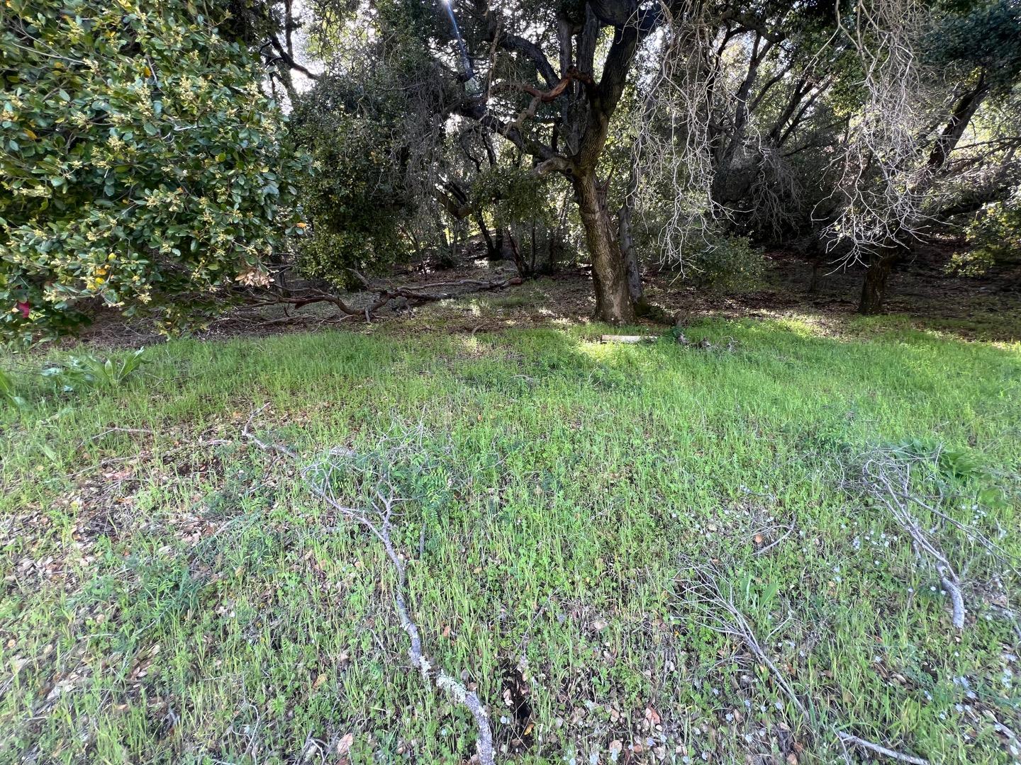 Detail Gallery Image 57 of 62 For 5390 Little Uvas Rd, Morgan Hill,  CA 95037 - 3 Beds | 2/2 Baths