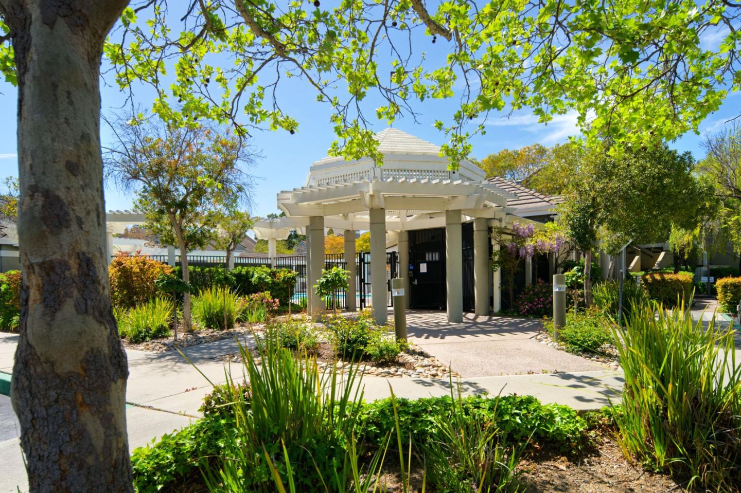 Detail Gallery Image 31 of 40 For 5947 Lake Hennessy Ct, San Jose,  CA 95123 - 1 Beds | 1 Baths