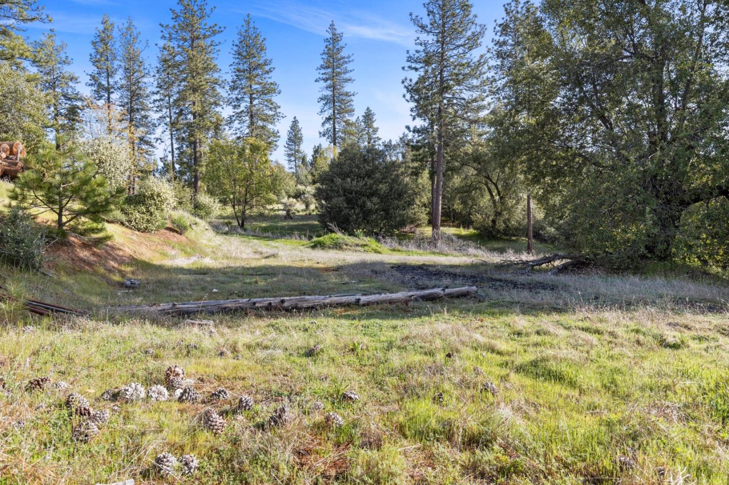 Detail Gallery Image 9 of 9 For 6024 Fullen Rd, Murphys,  CA 95247 - 1 Beds | 1 Baths