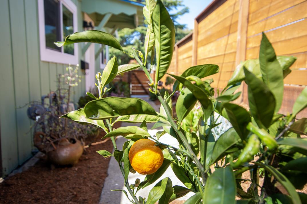 Detail Gallery Image 44 of 50 For 311 Mar Vista Ave, Aptos,  CA 95003 - 2 Beds | 1 Baths